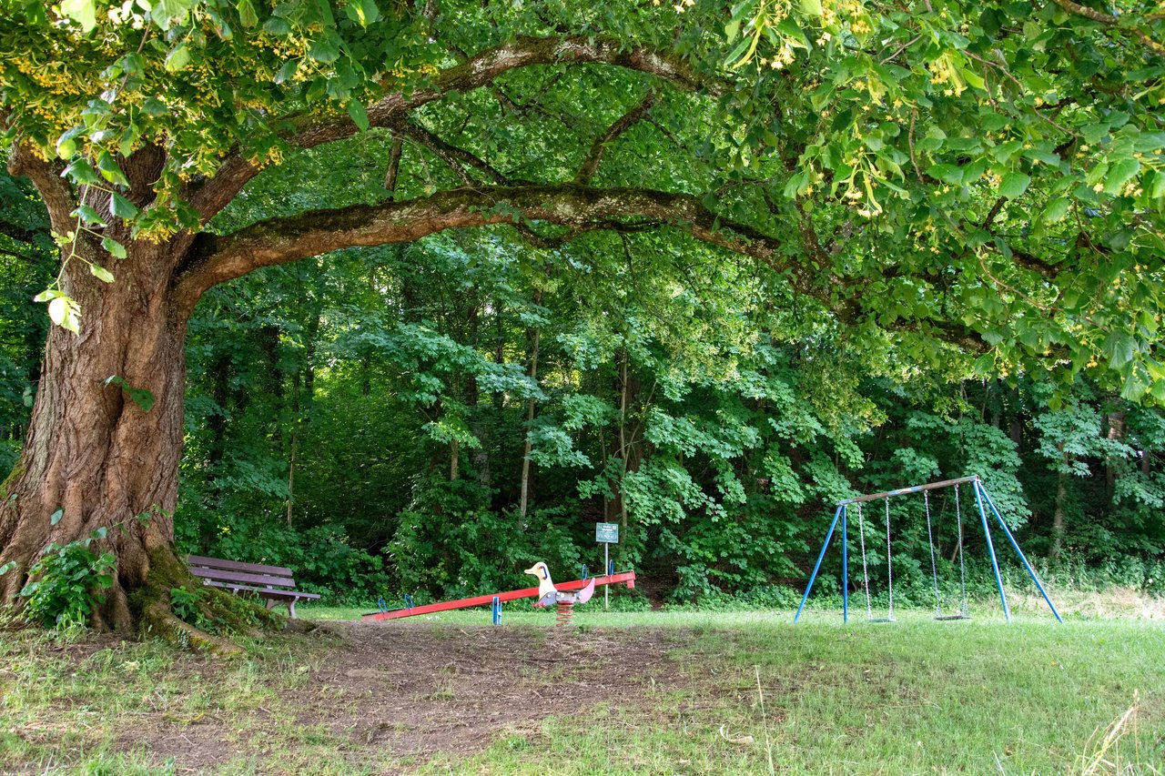 Spielplatz unter Bäumen am Osterholz
