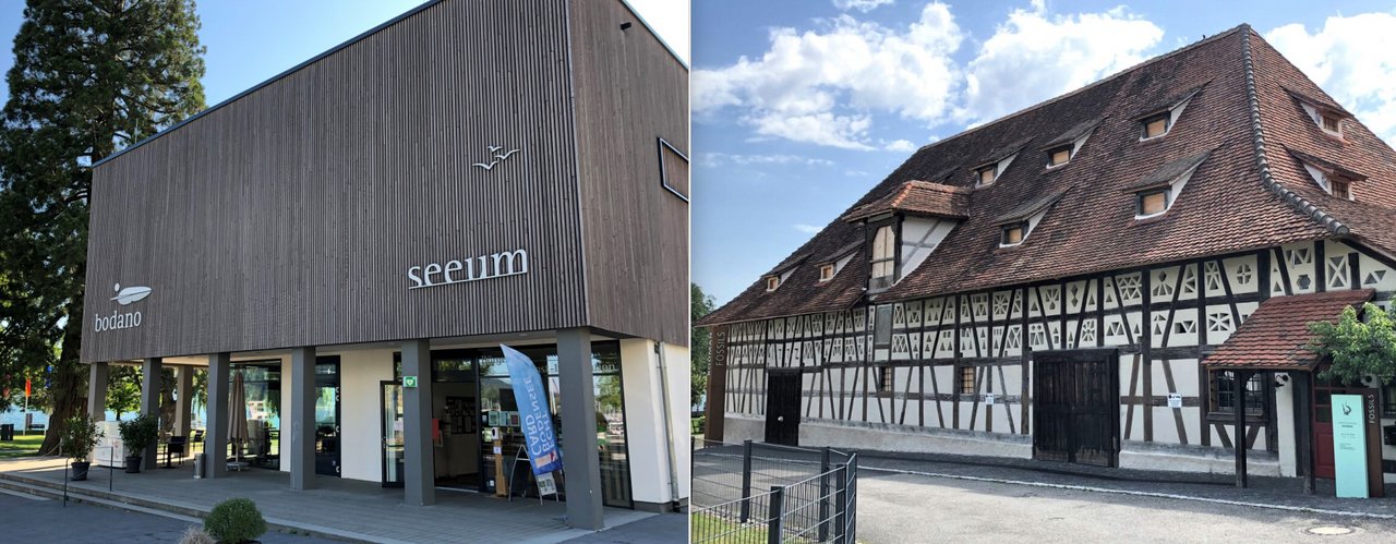 Seeum und Schlosstorkel in Bodman